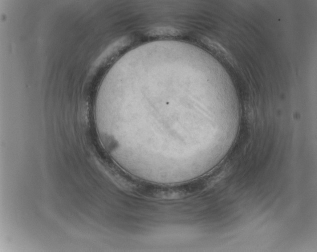 X0000079340735200612151907