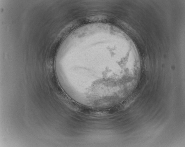 X0000079340737200612151907