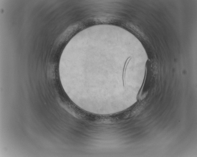 X0000079340738200612151907