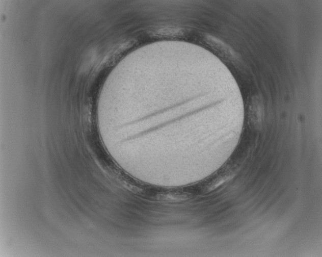 X0000079340739200612151907