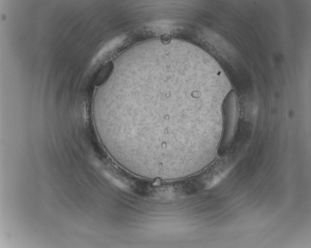 X0000079340740200612151907