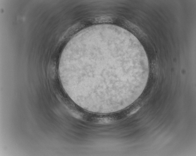 X0000079340741200612151907