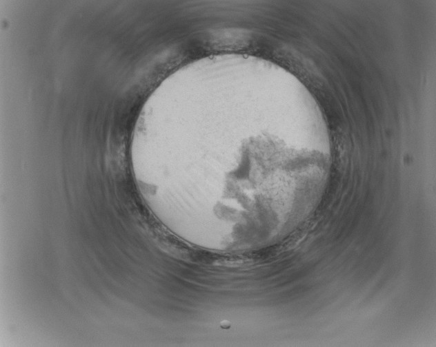 X0000079340745200612151907