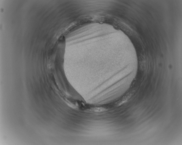 X0000079340748200612151907