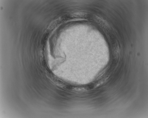 X0000079340749200612151907