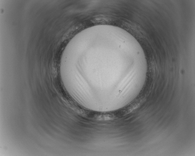 X0000079340751200612151907