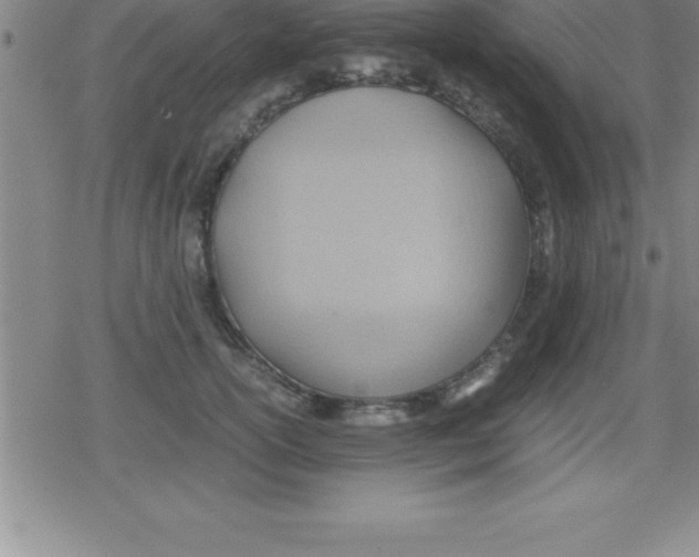 X0000079340754200612151907