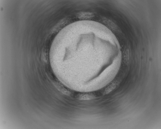 X0000079340755200612151907