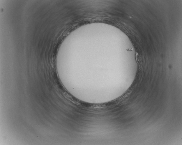 X0000079340756200612151907