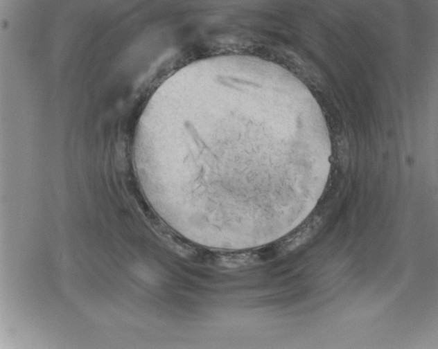 X0000079340757200612151907