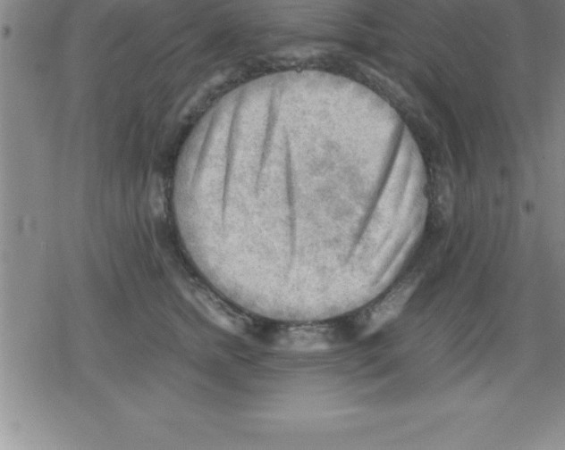 X0000079340758200612151907