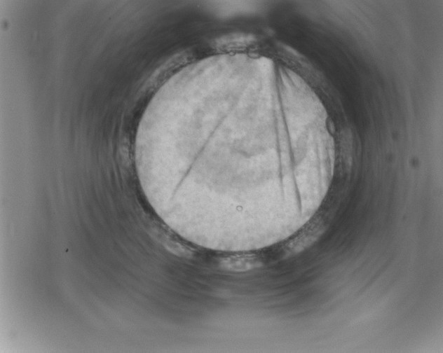 X0000079340761200612151907