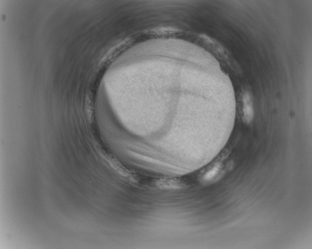 X0000079340762200612151907