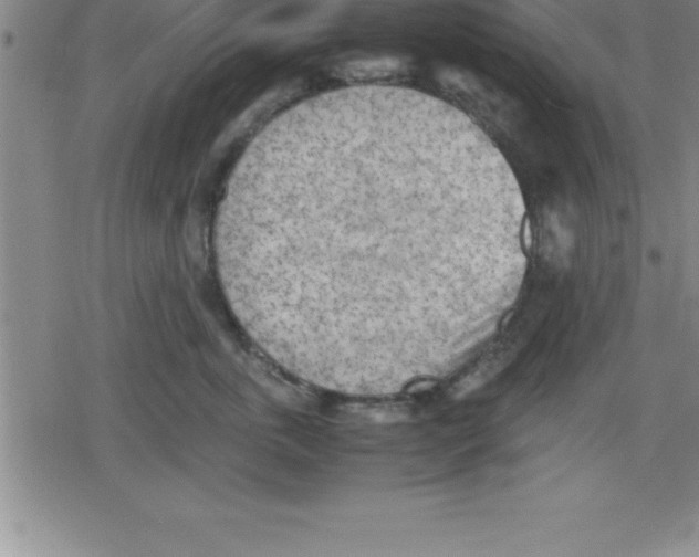 X0000079340763200612151907