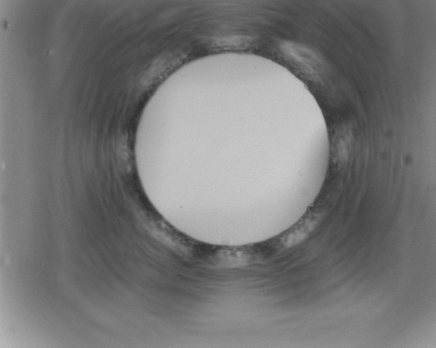 X0000079340764200612151907