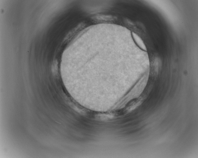 X0000079340765200612151908