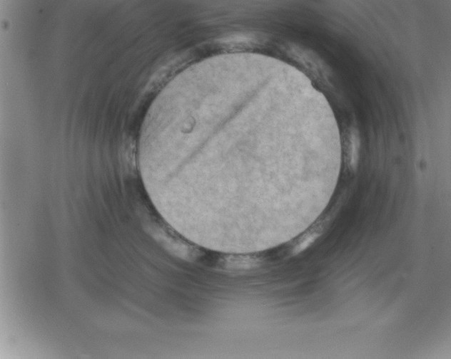 X0000079340766200612151908