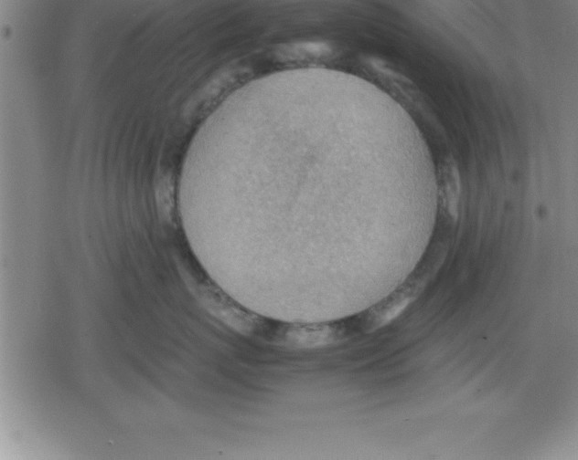 X0000079340767200612151908