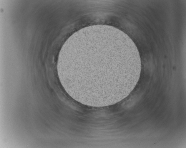 X0000079340769200612151907