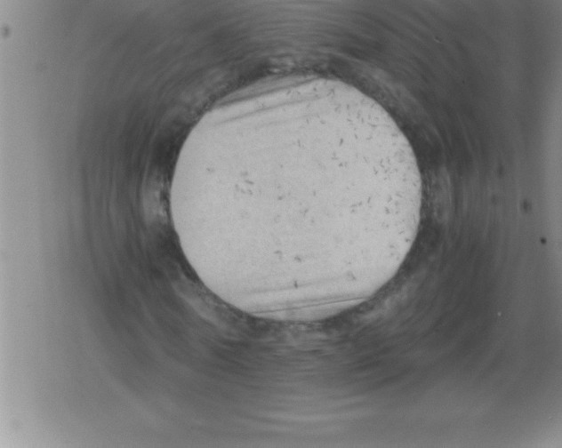 X0000079340770200612151907