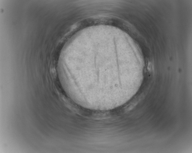 X0000079340771200612151907