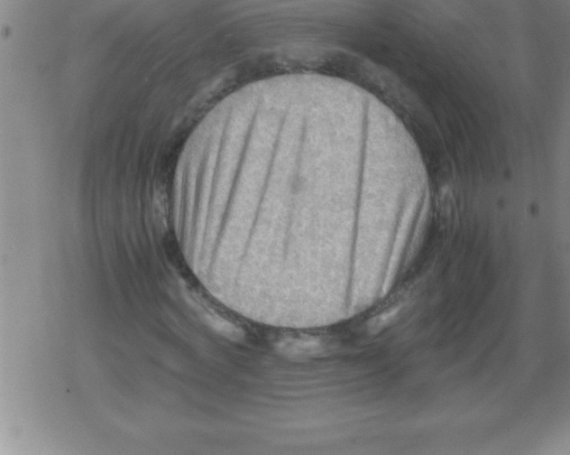 X0000079340772200612151907