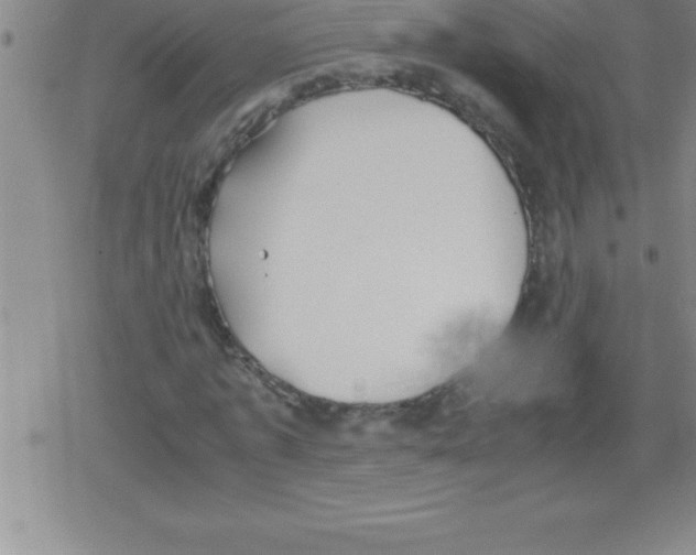 X0000079340773200612151907