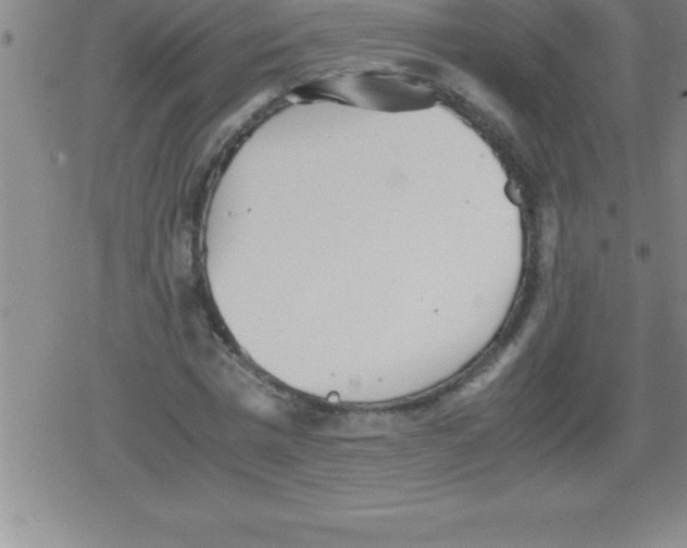 X0000079340777200612151907