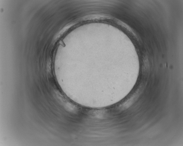 X0000079340778200612151907