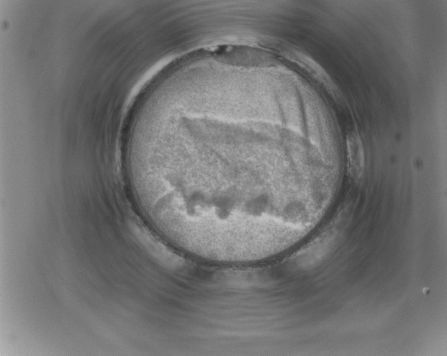 X0000079340780200612151907