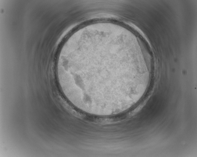 X0000079340783200612151907