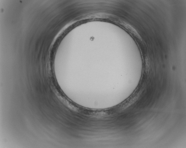 X0000079340784200612151907