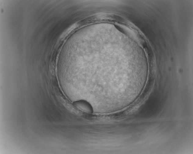 X0000079340785200612151907