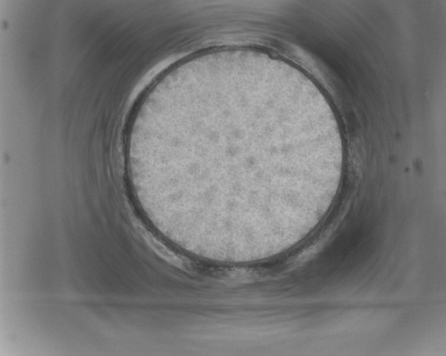 X0000079340787200612151906