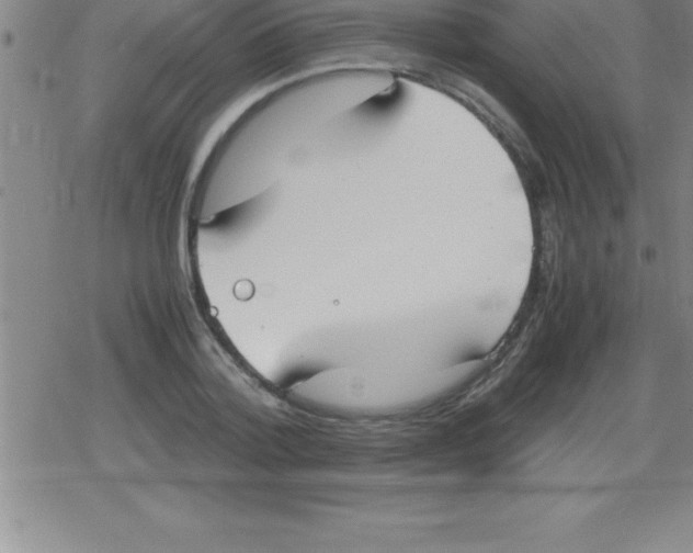 X0000079340788200612151906