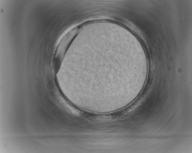 X0000079340789200612151906