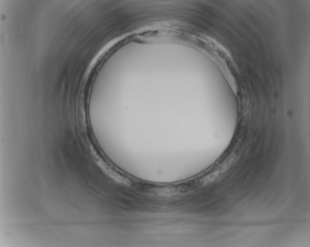 X0000079340792200612151906