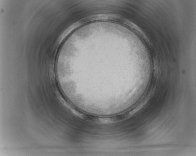 X0000079340794200612151906