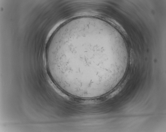 X0000079340796200612151906