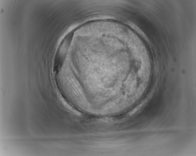 X0000079340797200612151906