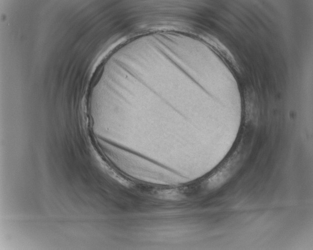 X0000079340798200612151906