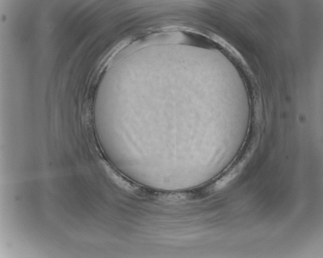 X0000079340801200612151906