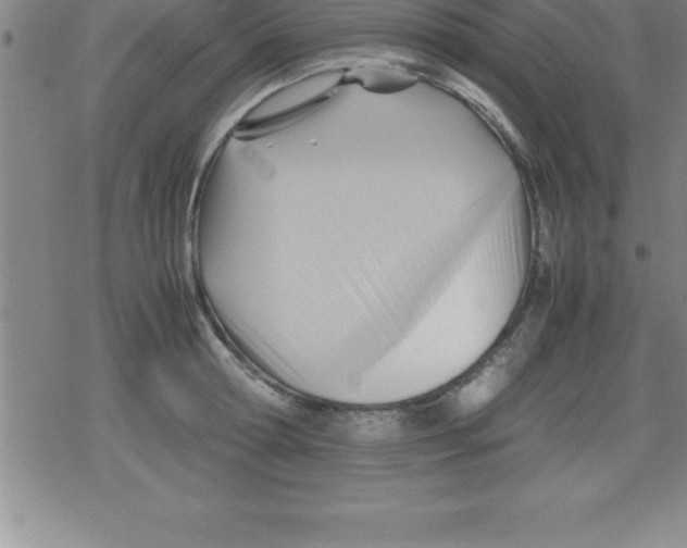 X0000079340802200612151906