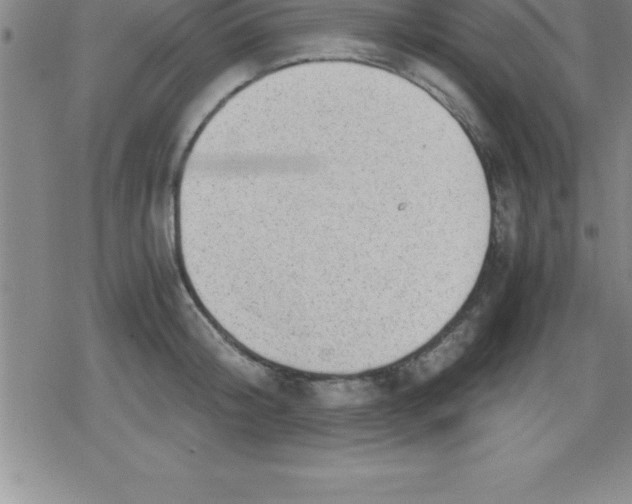 X0000079340804200612151906