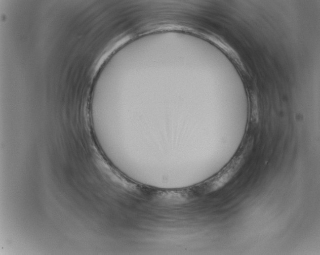 X0000079340806200612151906