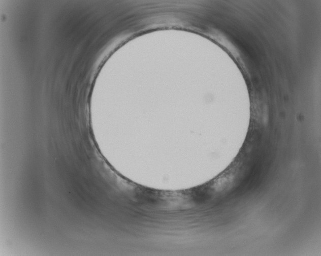 X0000079340807200612151906