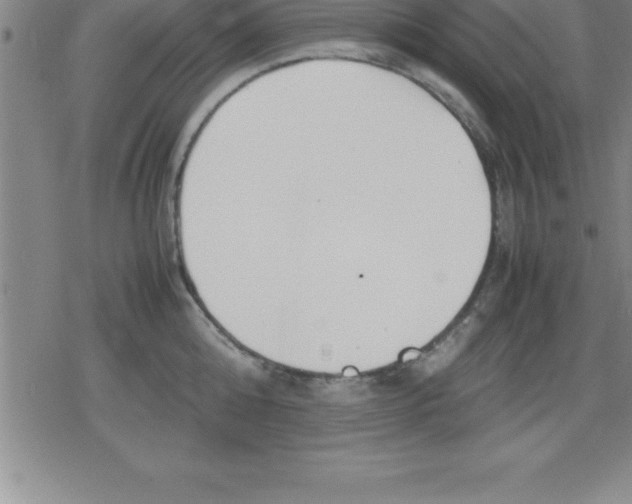 X0000079340808200612151906