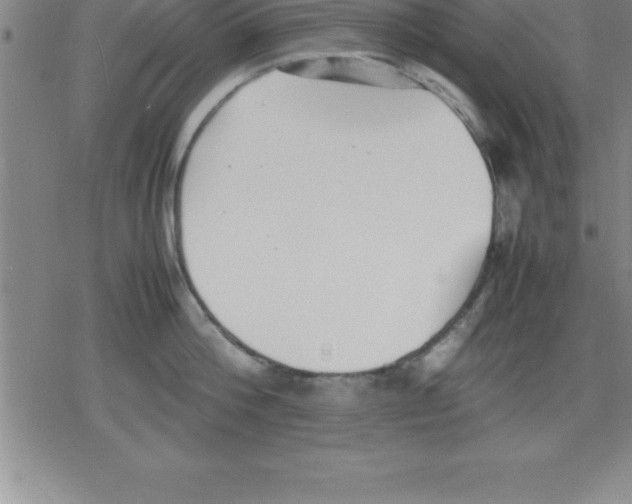 X0000079340812200612151906