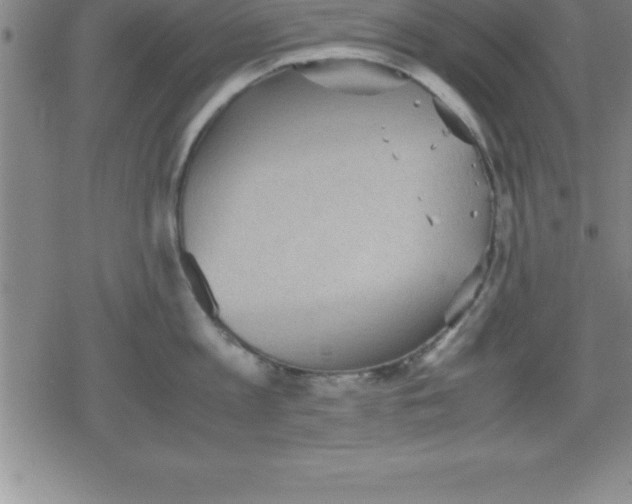 X0000079340813200612151906