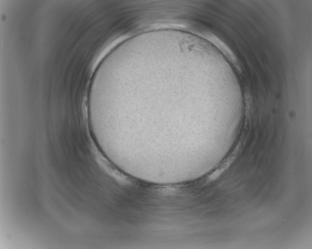 X0000079340814200612151906